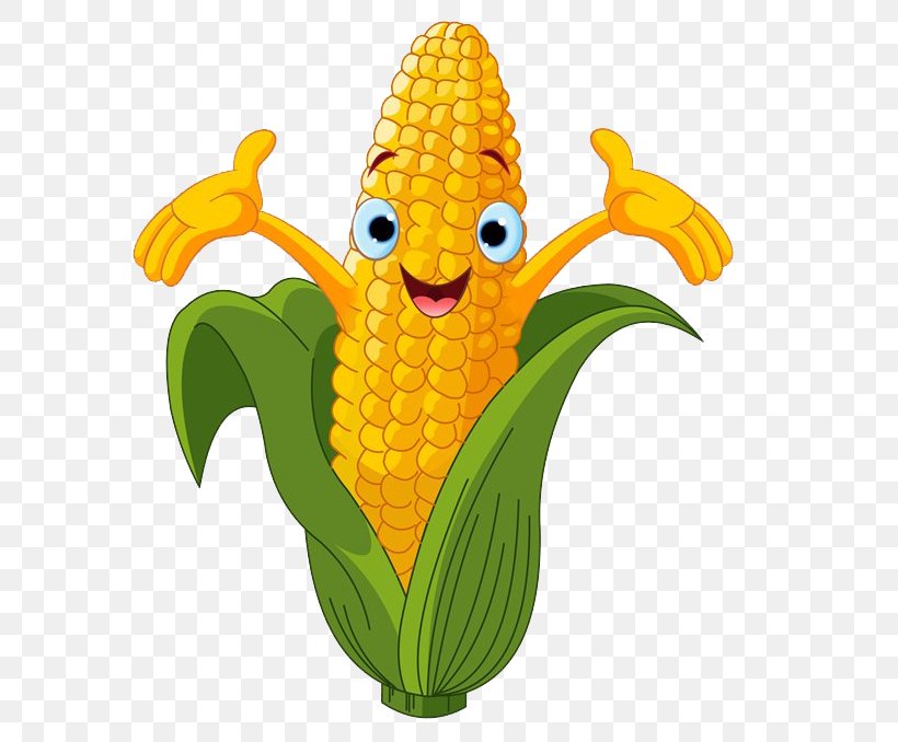 Corn On The Cob Maize Sweet Corn Cartoon, PNG, 615x678px, Corn On The Cob, Banana, Banana Family, Cartoon, Commodity Download Free