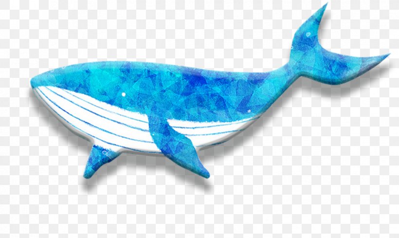 Dolphin Whale, PNG, 1018x608px, Dolphin, Aqua, Blue Whale, Cetacea, Color Download Free