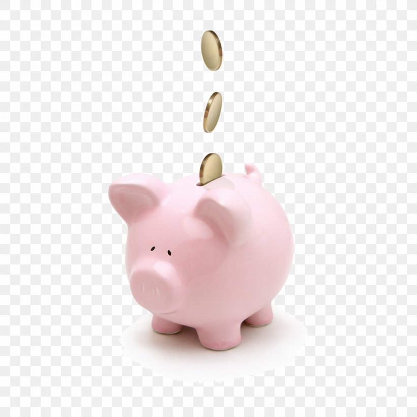 Saving Money Piggy Bank Coin Finance, PNG, 2500x2500px, Saving, Bank, Budget, Coin, Debt Download Free