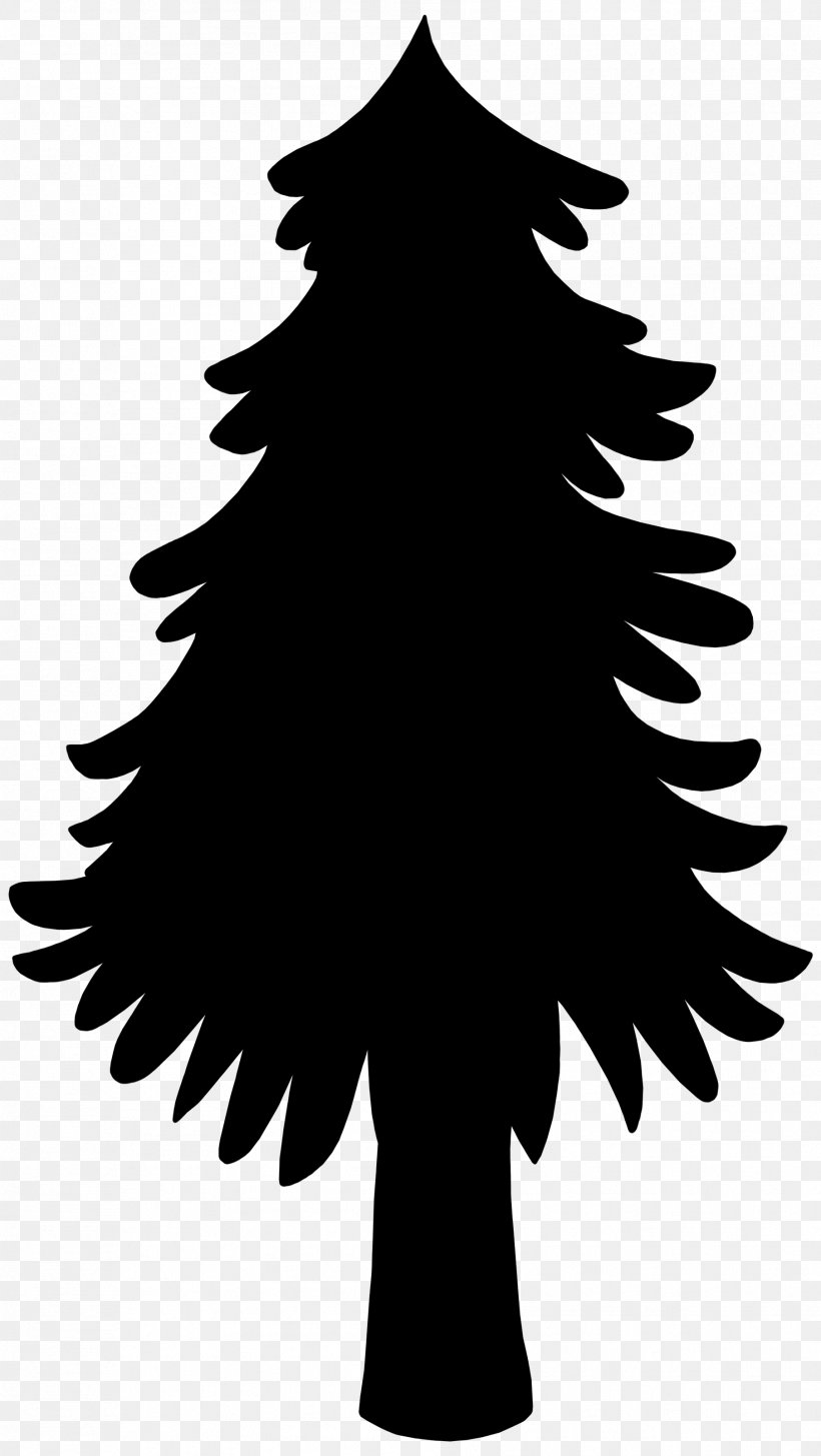 Fir Christmas Tree Spruce Christmas Day, PNG, 1808x3209px, Fir, Beak, Blackandwhite, Branching, Christmas Day Download Free