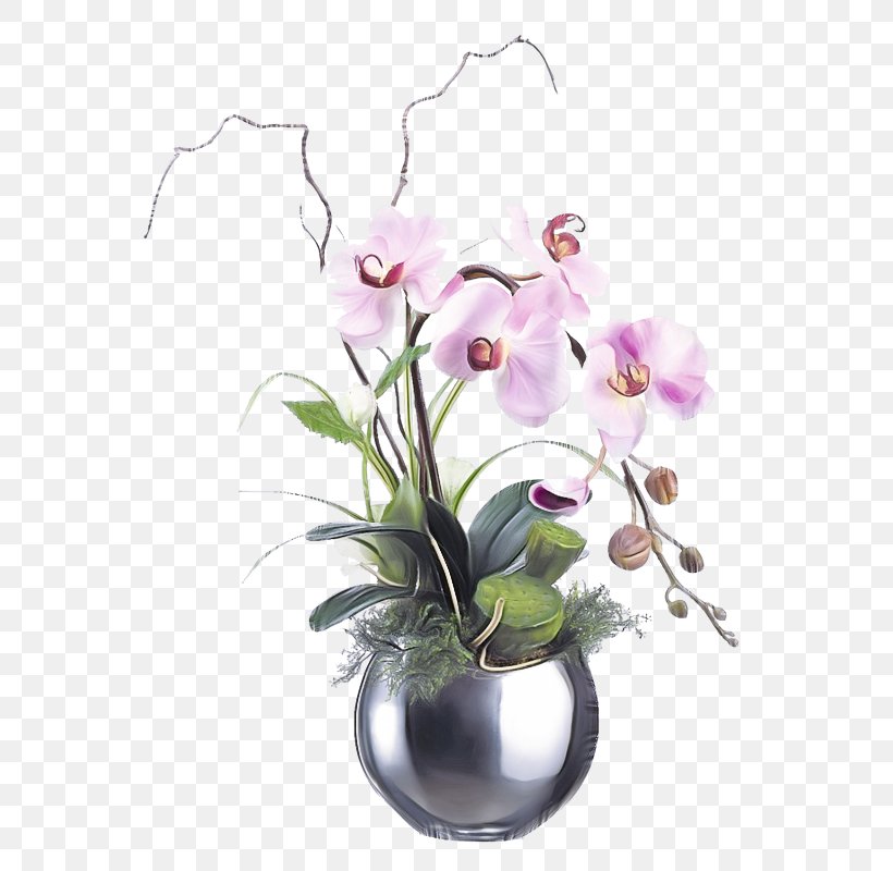Flower Flowering Plant Moth Orchid Plant Flowerpot, PNG, 593x800px, Flower, Flowering Plant, Flowerpot, Houseplant, Moth Orchid Download Free