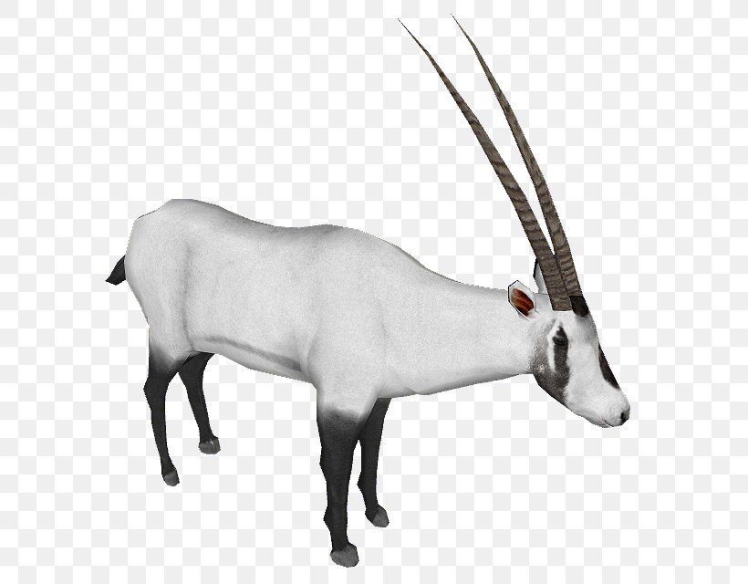 Gemsbok Cattle Reindeer Gazelle Horn, PNG, 649x640px, Gemsbok, Animal, Animal Figure, Antelope, Antler Download Free