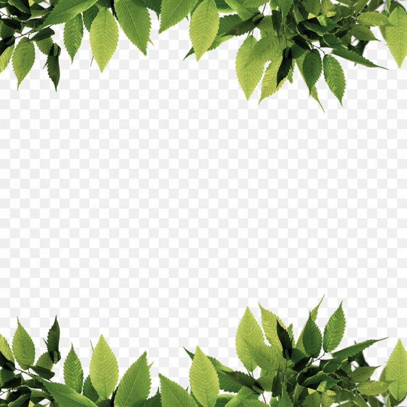 Green Leaf Computer File, PNG, 1134x1134px, Green, Branch, Google Images, Grass, Jpeg Network Graphics Download Free