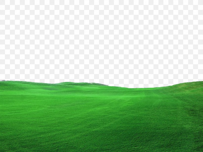 Lawn Green Grassland Landscape Wallpaper, PNG, 1024x768px, Lawn, Computer, Field, Grass, Grassland Download Free