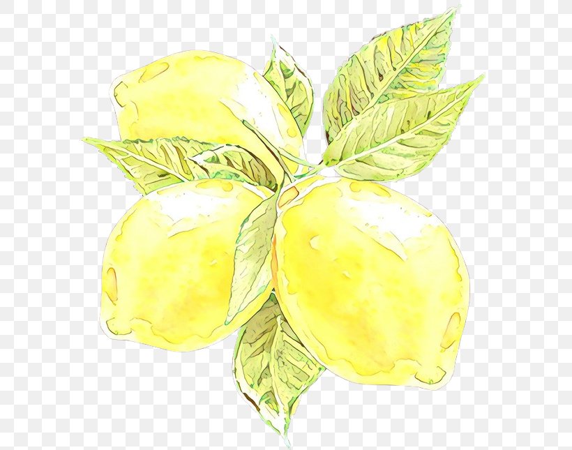 Yellow Plant Leaf Flower Fruit, PNG, 600x645px, Cartoon, Flower, Flowering Plant, Food, Fruit Download Free