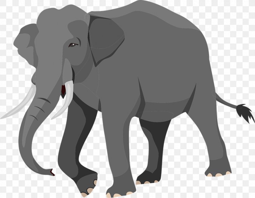 African Elephant Indian Elephant Elephants Clip Art, PNG, 926x720px, African Elephant, Baby Elephant, Carnivoran, Cattle Like Mammal, Elephant Download Free