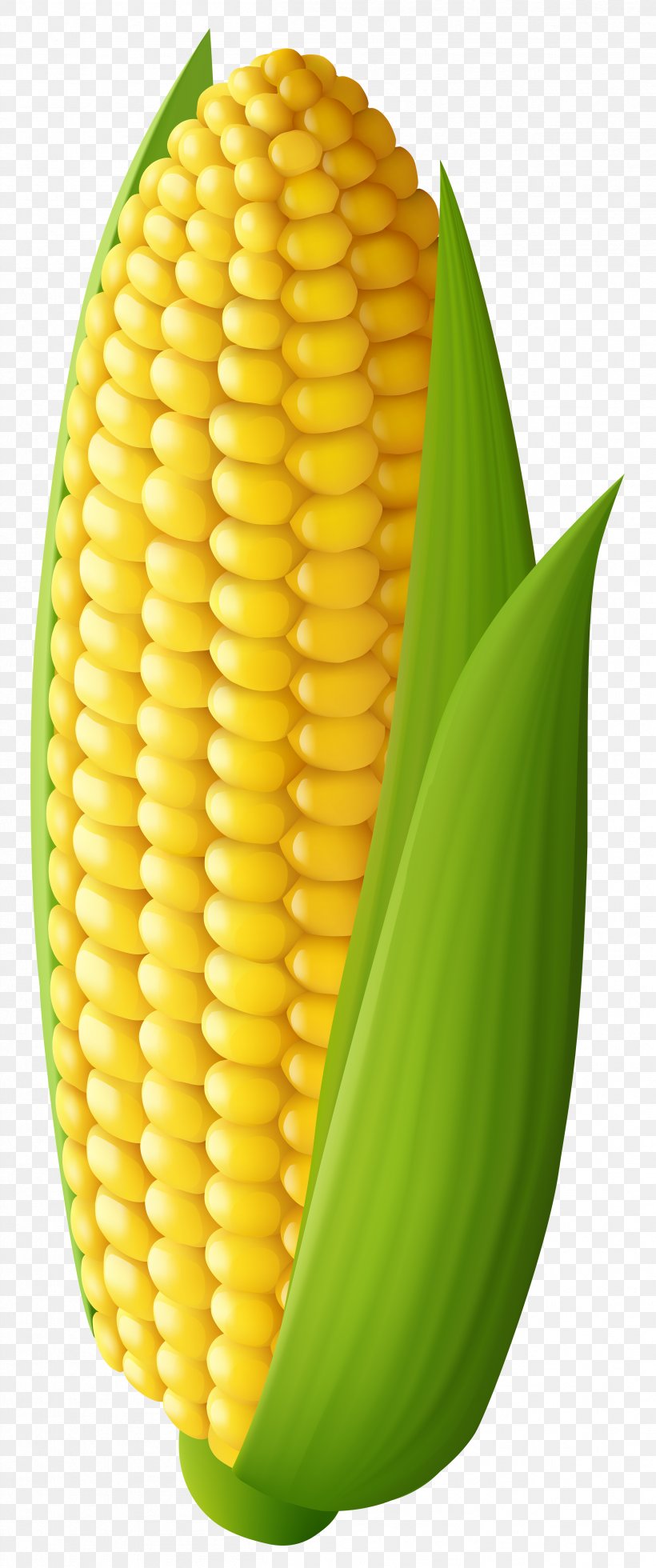 Corn On The Cob Maize Clip Art, PNG, 2509x6000px, Corn On The Cob, Art,  Commodity, Corn
