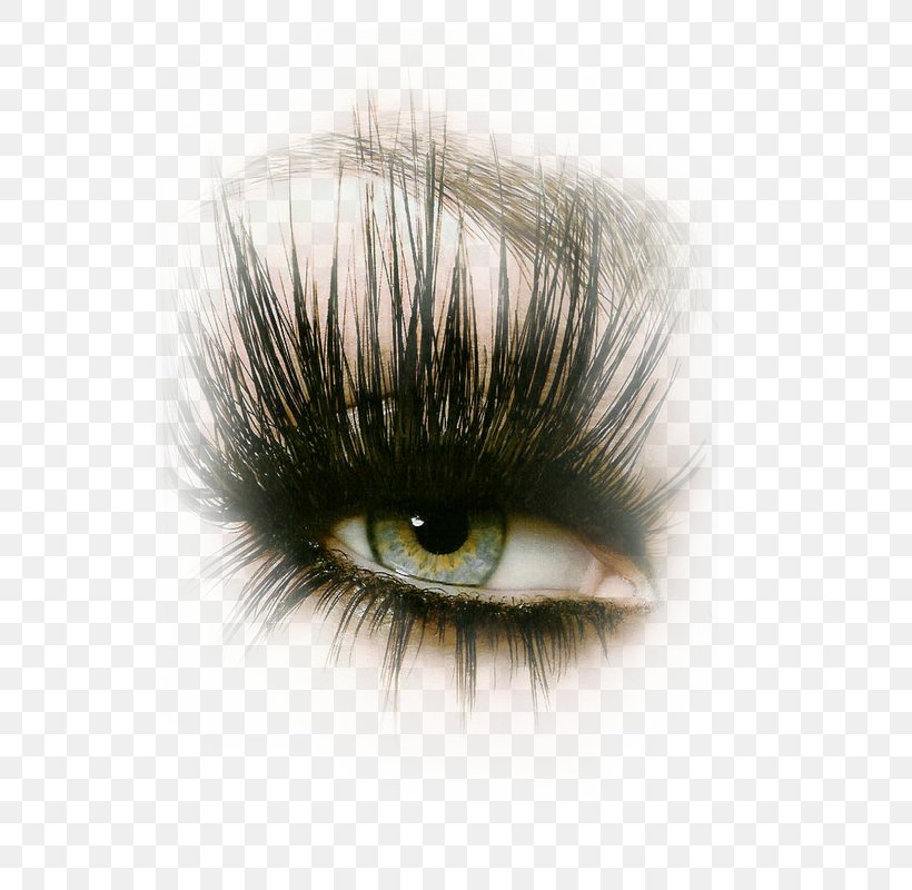 Eyelash Extensions Cosmetics Photography, PNG, 600x800px, Eyelash, Beauty, Capelli, Close Up, Cosmetics Download Free