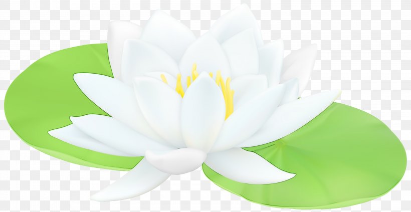 Lotus, PNG, 3000x1548px, Watercolor, Aquatic Plant, Flower, Green, Lotus Download Free