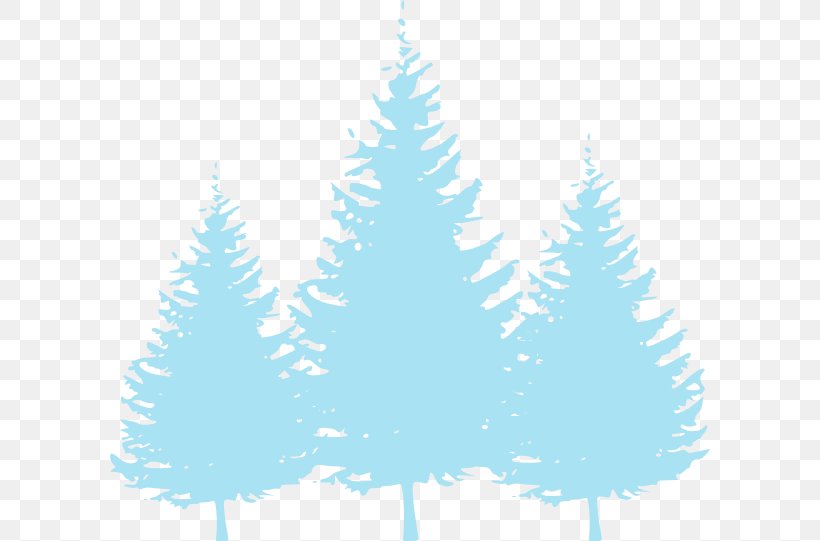 Pine Evergreen Tree Spruce, PNG, 600x541px, Pine, Blue, Branch, Cedar, Christmas Decoration Download Free