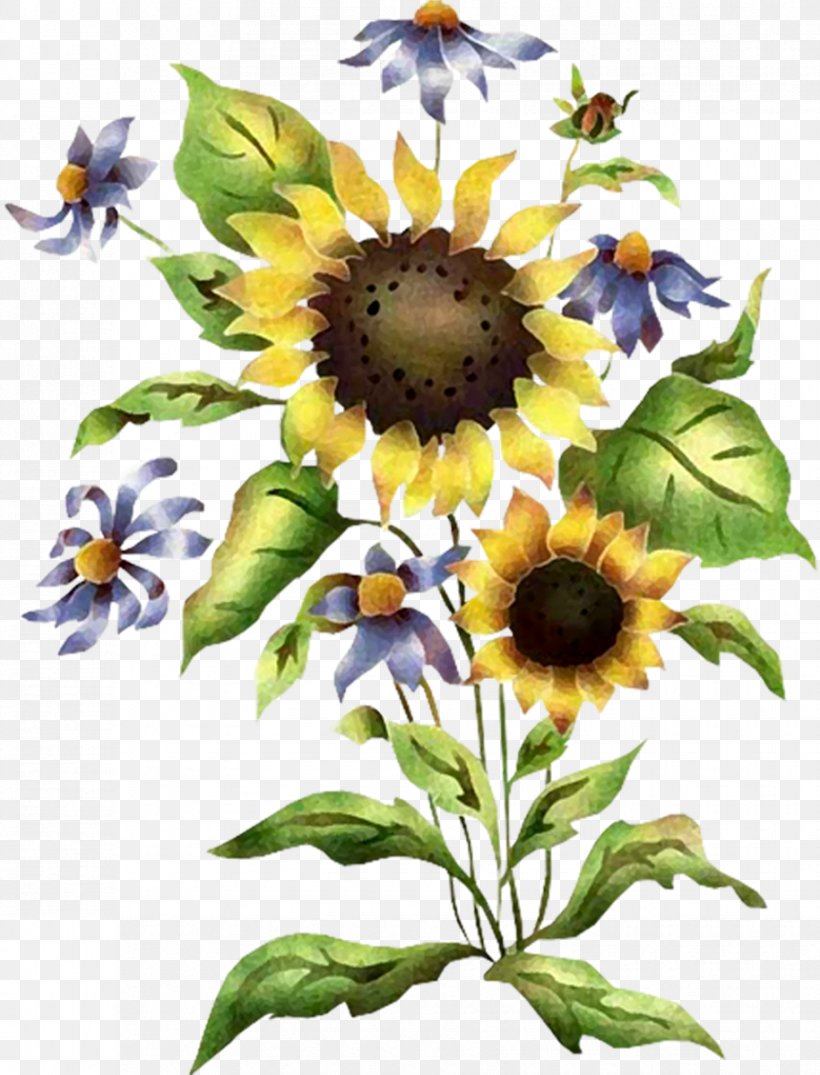 Stencil Common Sunflower, PNG, 915x1200px, Stencil, Art, Color Scheme, Common Sunflower, Daisy Family Download Free