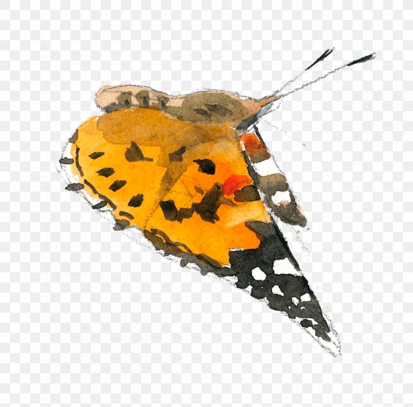 Butterfly Painted Lady Pterygota Corn Autumn, PNG, 1195x1177px, Butterfly, Autumn, Corn, Fire Salamander, Flower Download Free
