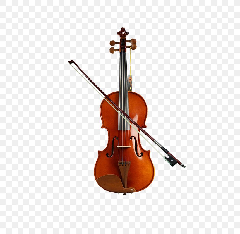 Musical Instrument Violin Bowed String Instrument Cello, PNG, 800x800px, Watercolor, Cartoon, Flower, Frame, Heart Download Free