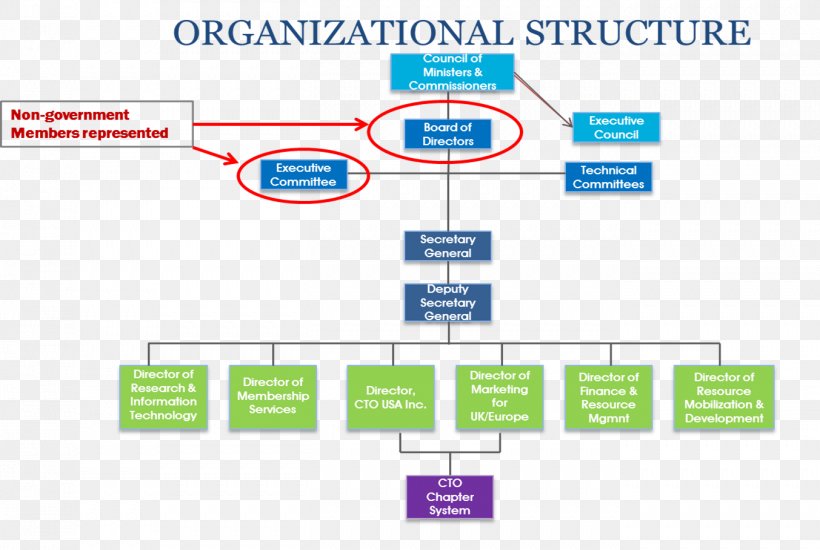 Organizational Chart Board Of Directors Management Chief Technology Officer, PNG, 1353x909px, Organization, Area, Board Of Directors, Brand, Chief Executive Download Free