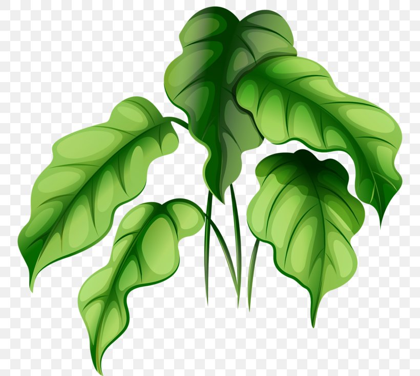 Plant Royalty-free Green Illustration, PNG, 800x733px, Plant, Flowerpot, Green, Houseplant, Leaf Download Free
