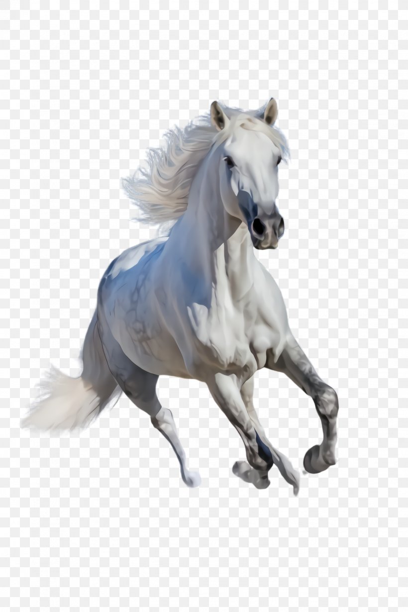 Horse Animal Figure Stallion Mustang Horse Mane, PNG, 1632x2448px, Horse, Animal Figure, Mane, Mare, Mustang Horse Download Free