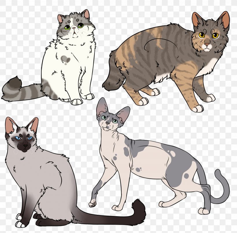Kitten Whiskers Manx Cat Ragdoll Domestic Short-haired Cat, PNG, 2032x2000px, Kitten, Asian, Burmese, Carnivoran, Cat Download Free