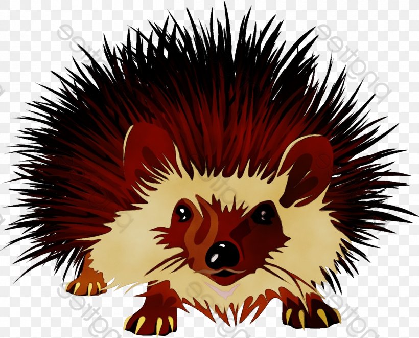 World Cartoon, PNG, 1300x1048px, Domesticated Hedgehog, Echidna, Erinaceidae, Hedgehog, New World Porcupine Download Free