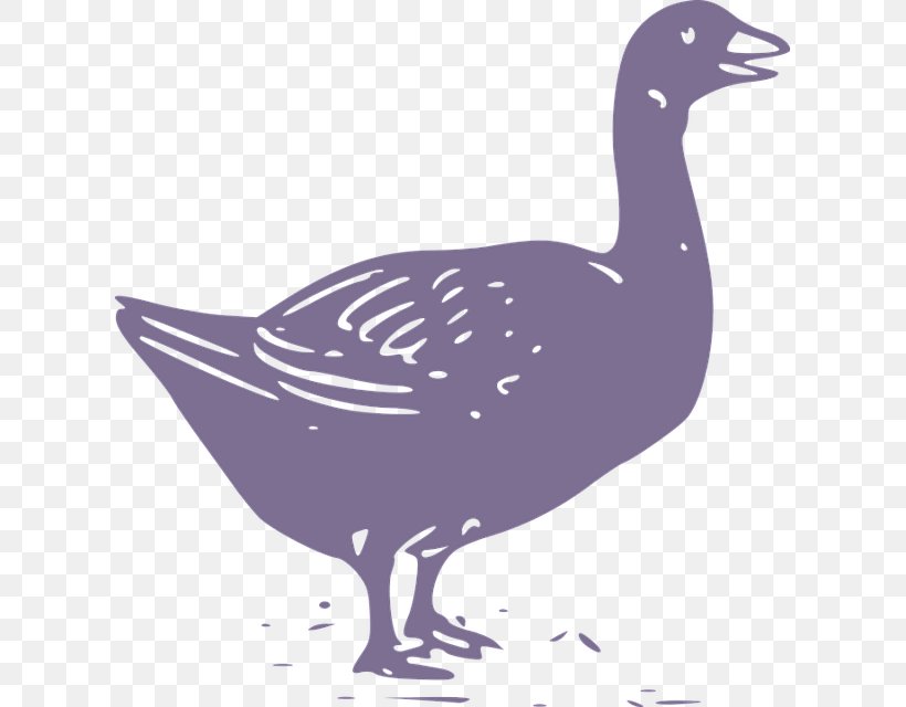 Duck Domestic Goose Chicken Cygnini, PNG, 611x640px, Duck, Animal, Art, Beak, Bird Download Free
