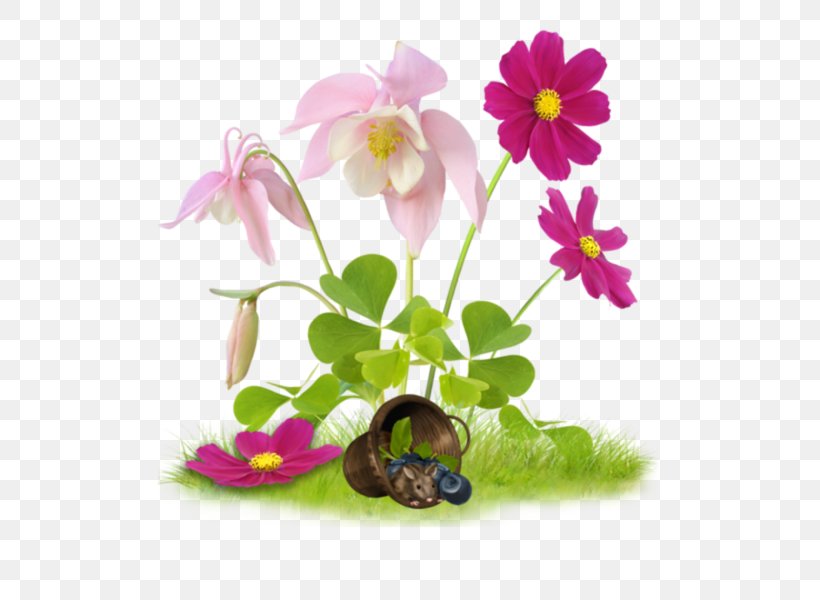 Easter Desktop Wallpaper Clip Art, PNG, 600x600px, Easter, Collage, Flora, Floral Design, Flower Download Free