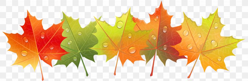 Leaf Autumn Drop Clip Art, PNG, 8000x2617px, Leaf, Autumn, Autumn Leaf Color, Color, Dew Download Free