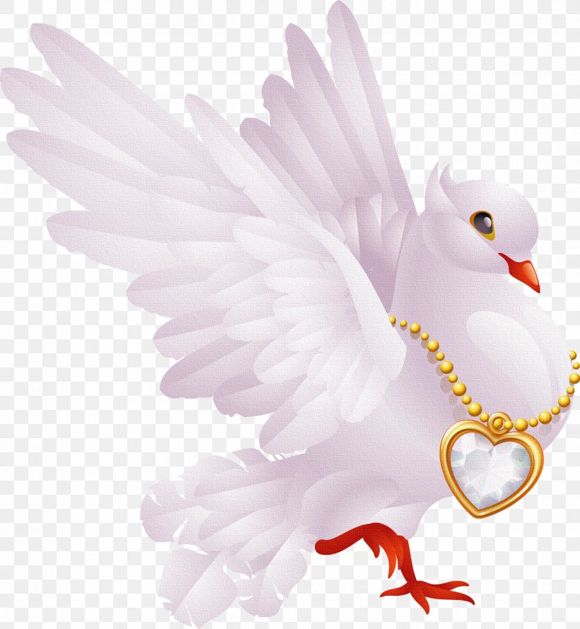 Valentine's Day Lupercalia Greeting & Note Cards Clip Art, PNG, 2064x2241px, Lupercalia, Beak, Bird, Bird Of Prey, Can Stock Photo Download Free