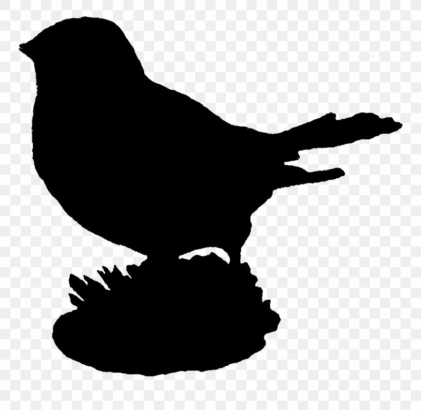 Beak Fauna Silhouette Font, PNG, 1049x1021px, Beak, Bird, Crowlike Bird, Fauna, Perching Bird Download Free