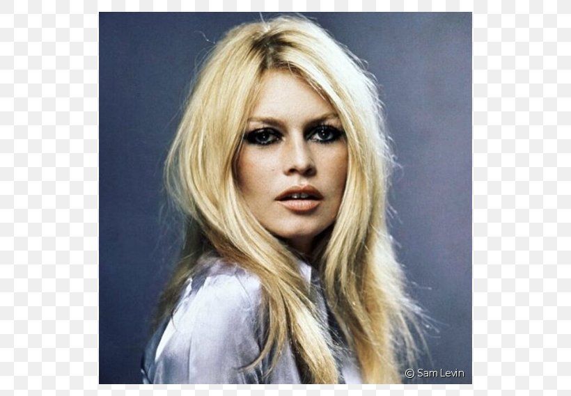Brigitte Bardot Contempt Photography Photographer Actor, PNG, 790x569px, Watercolor, Cartoon, Flower, Frame, Heart Download Free