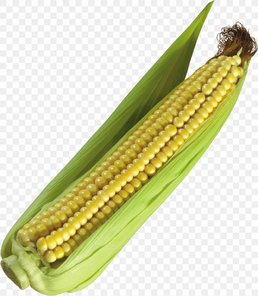 Corn On The Cob Maize Icon, PNG, 3534x4057px, Corn On The Cob, Cereal, Commodity, Corn Flakes, Corn Harvester Download Free