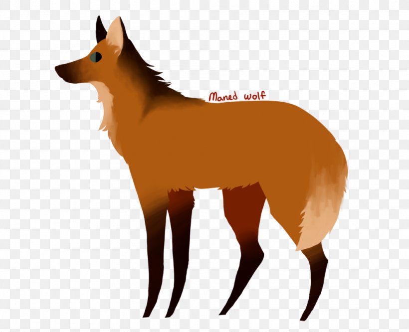 Red Fox Dog Breed Snout, PNG, 992x806px, Red Fox, Breed, Carnivoran, Dog, Dog Breed Download Free