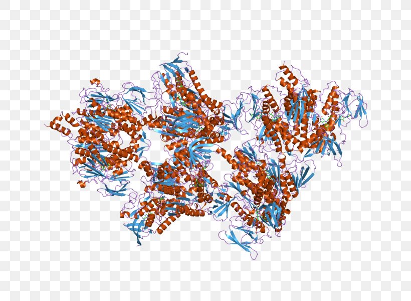 Dihydrolipoamide Dehydrogenase Pyruvate Dehydrogenase Dihydrolipoyl Transacetylase, PNG, 800x600px, Dihydrolipoamide Dehydrogenase, Art, Coenzyme A, Dehydrogenase, Dihydrolipoamide Download Free