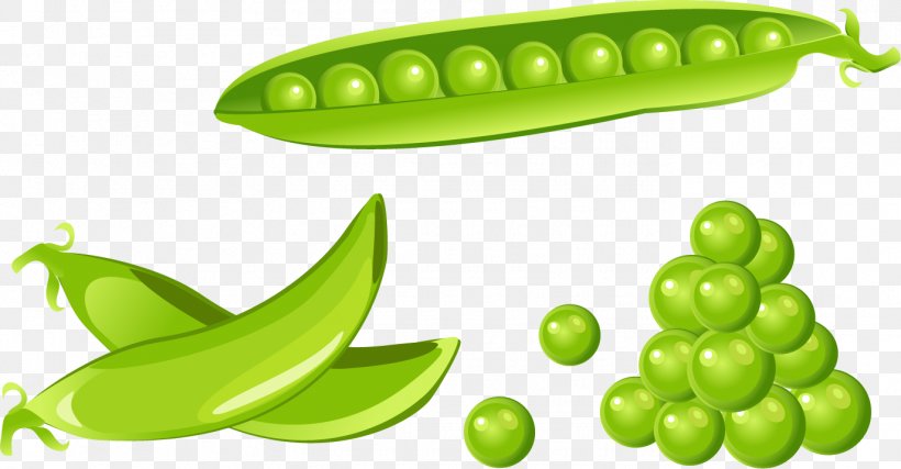 Green Pea Vector Graphics Illustration Clip Art Image, PNG, 1374x716px, Green Pea, Bean, Food, Fotosearch, Fruit Download Free