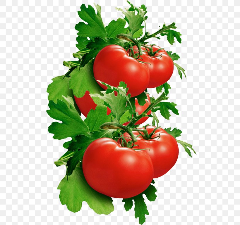Italian Tomato Pie Bush Tomato Clip Art, PNG, 538x770px, Italian Tomato Pie, Bush Tomato, Diet Food, Food, Fried Green Tomatoes Download Free