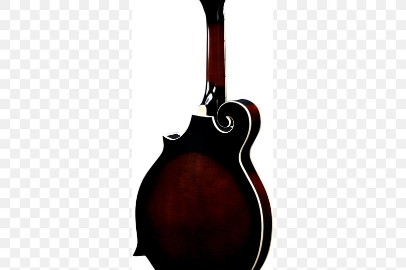 Acoustic-electric Guitar Mandolin Acoustic Guitar, PNG, 601x545px, Electric Guitar, Acoustic Electric Guitar, Acoustic Guitar, Acousticelectric Guitar, Bass Guitar Download Free