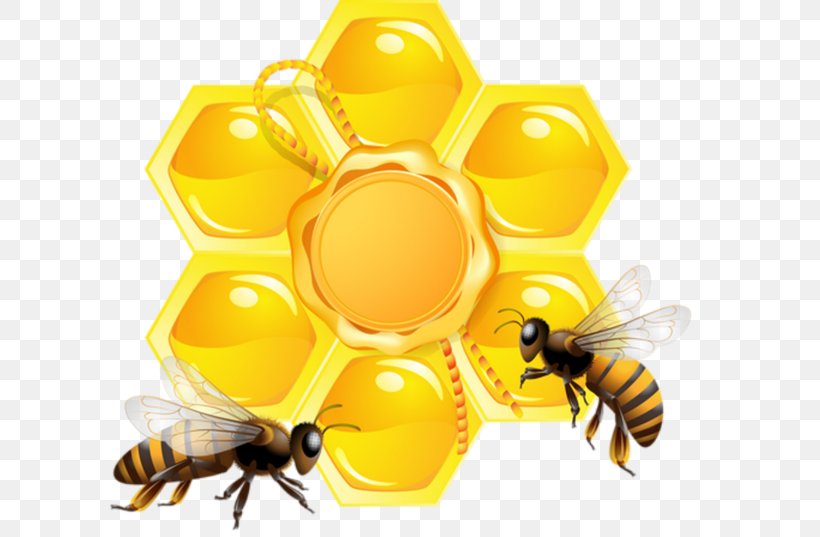 Bee Honeycomb, PNG, 600x537px, Bee, Arthropod, Beehive, Beekeeping, Honey Download Free