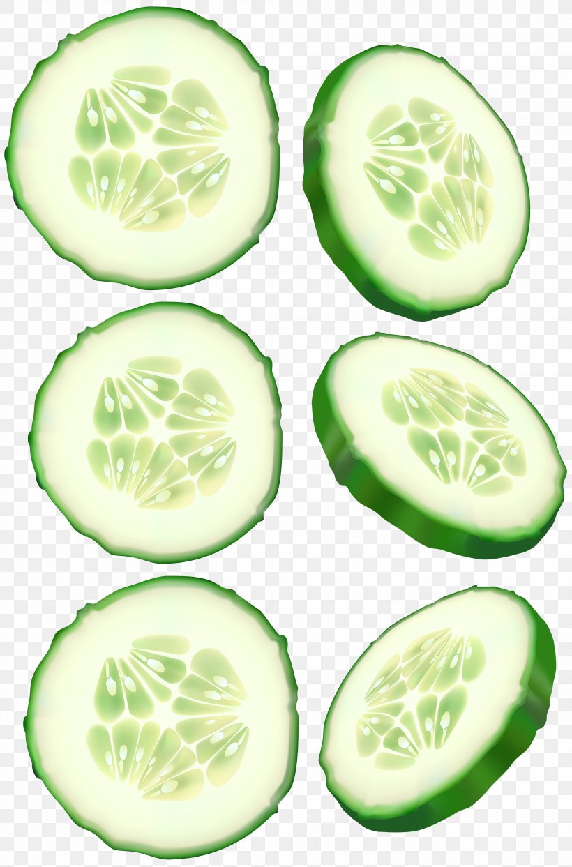 Cucumber Clip Art, PNG, 3958x6000px, Cucumber, Bell Pepper, Com, Cucumber Gourd And Melon Family, Cucumis Download Free