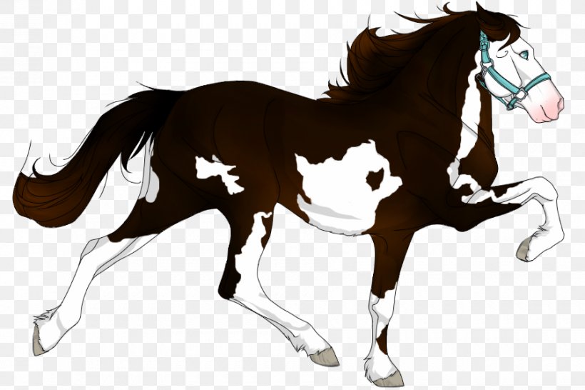 Foal Stallion Mane Mustang Mare, PNG, 900x600px, Foal, Animal Figure, Bridle, Colt, English Riding Download Free