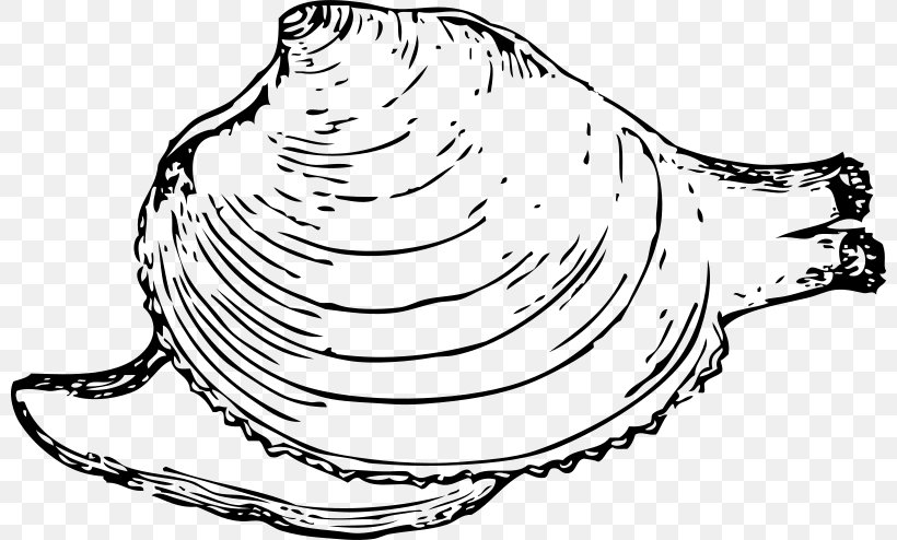 Hard Clam Clip Art, PNG, 800x494px, Clam, Artwork, Black And White, Color, Coloring Book Download Free