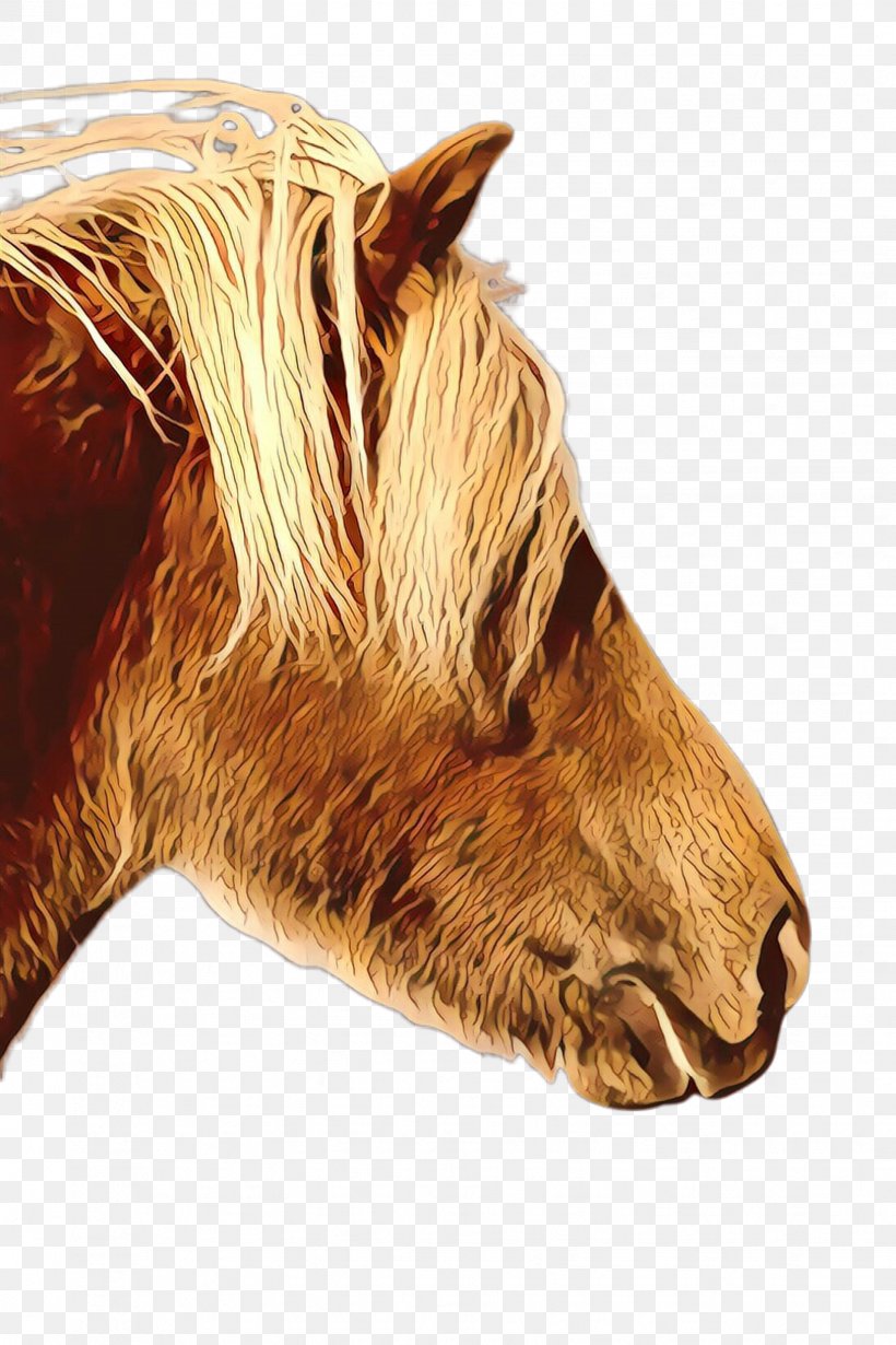 Mustang Mane Halter Snout Naturism, PNG, 1632x2448px, Cartoon, Fur, Halter, Head, Horse Download Free