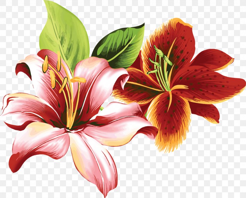 Lilium Flower Color Clip Art, PNG, 1600x1286px, Lilium, Arumlily, Color, Cut Flowers, Daylily Download Free