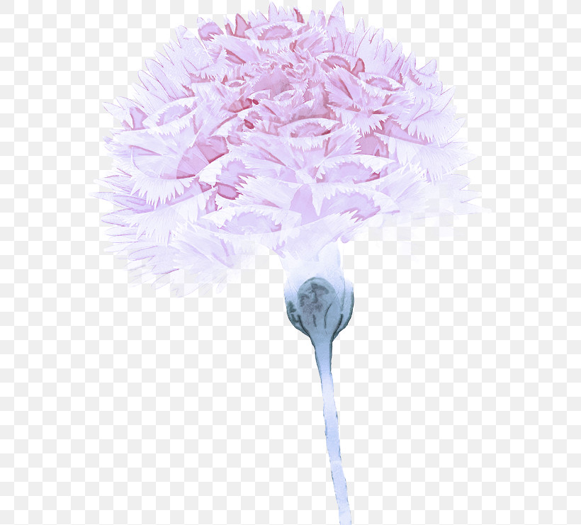 Pink Flower Lilac Cut Flowers Purple, PNG, 571x741px, Pink, Bouquet, Cornales, Cut Flowers, Flower Download Free