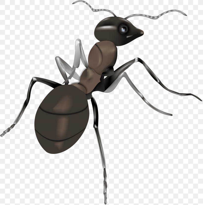 Ant Illustration, PNG, 3251x3276px, Ant, Adobe Systems, Arthropod, Cartoon, Fly Download Free
