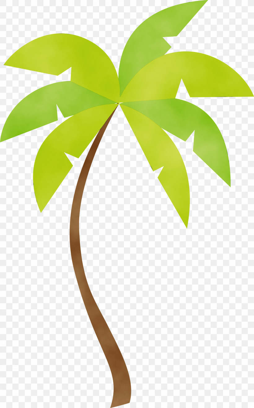 Palm Trees, PNG, 1864x3000px, Travel Elements, Biology, Branch, Leaf, Line Download Free