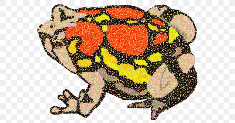 True Frog Scaphiophryne Gottlebei Poetry Tree Frog, PNG, 600x430px, Frog, Amphibian, Animal, Animal Figure, Art Download Free