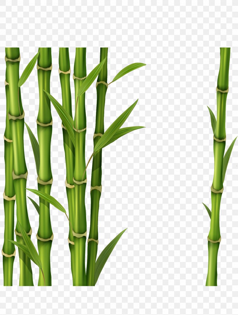 Стебель бамбука растение