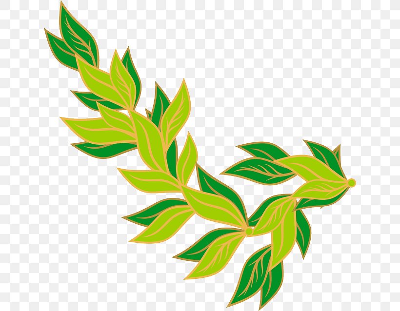 Bay Leaf Laurel Wreath Clip Art, PNG, 640x638px, Bay Leaf, Bay Laurel, Branch, Flora, Flower Download Free