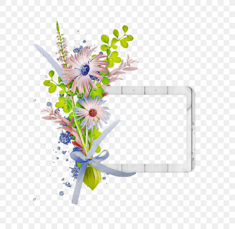 Flower Wildflower Plant Cut Flowers, PNG, 800x800px, Flower, Cut Flowers, Plant, Wildflower Download Free