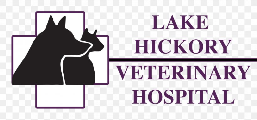 Lake Hickory Veterinary Hospital Veterinarian Dog Pet, PNG, 1707x800px, Veterinarian, Area, Black, Brand, Canidae Download Free