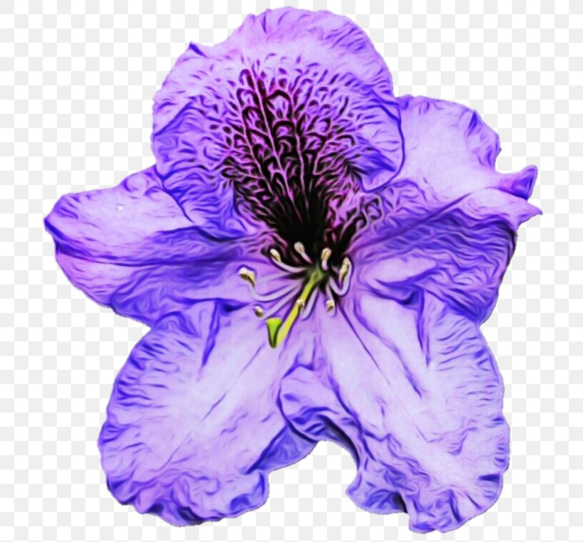 Lavender, PNG, 719x762px, Watercolor, Cut Flowers, Flower, Flowering Plant, Lavender Download Free