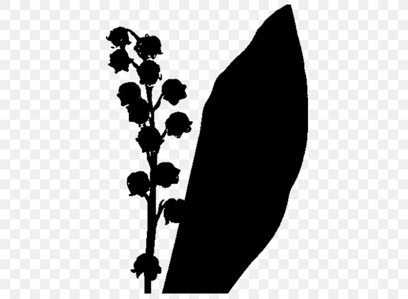 Silhouette Font Leaf Branching, PNG, 600x600px, Silhouette, Blackandwhite, Botany, Branching, Flower Download Free
